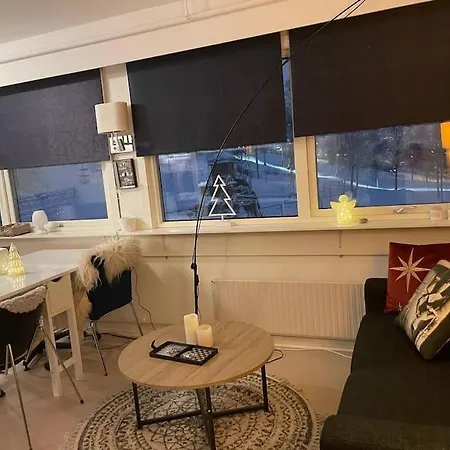 Koselig 1 Roms Leil. Sentralt.